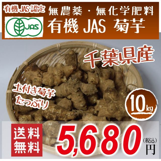 千葉県産　有機JAS　菊芋(土付き)　10kg　テレビで話題のスーパーフード　便秘　糖質制限　水溶性食物繊維　送料無料！お歳暮にも　熨斗可！日付指定可！