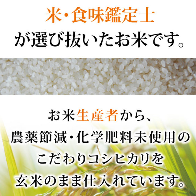 福井県産コシヒカリ 30kg 福井県産 令和5年産 コシヒカリ玄米30キロ(送料無料) 福井 米