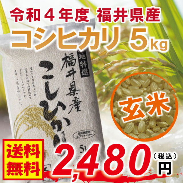 令和5年度新米 無農薬 福井県産１級 コシヒカリ 30kg 玄米 エコファーマー 令和5年度新米】無農薬福井県産1級コシヒカリ 30kg 玄米 エコ