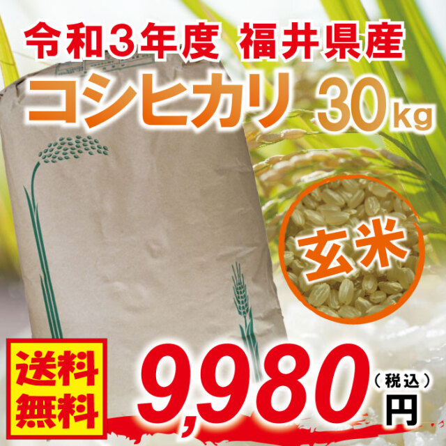 令和4年度新米】無農薬福井県産1級コシヒカリ☆約30kg