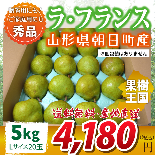 【2023年先行予約】【山形県朝日町産】ラ・フランス　秀品　贈答用　5ｋｇ　Ｌサイズ　20玉　産地直送　送料無料！（沖縄・離島・一部地域を除く)10月下旬～順次発送