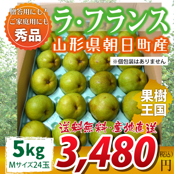 【2023年先行予約】【山形県朝日町産】ラ・フランス　秀品　贈答用　5ｋｇ　Mサイズ　24玉　産地直送　送料無料！（沖縄・離島・一部地域を除く)10月下旬～順次発送