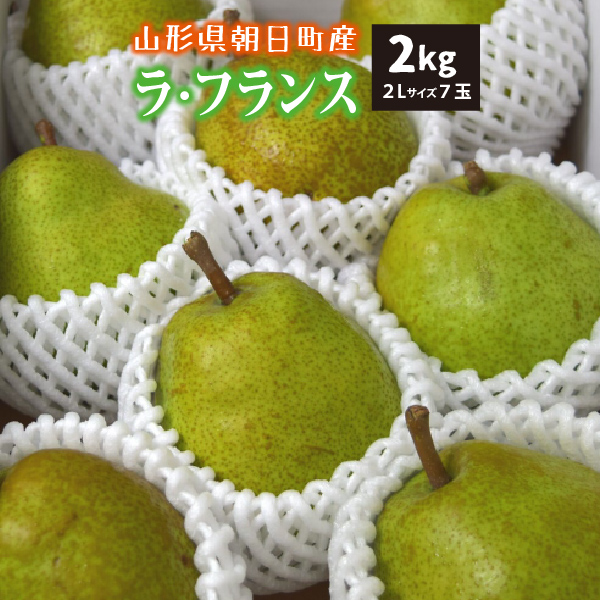 【2023年先行予約】【山形県朝日町産】ラ・フランス　秀品　贈答用　２ｋｇ　2Ｌサイズ　7玉　産地直送　送料無料！（沖縄・離島・一部地域を除く)10月下旬～順次発送