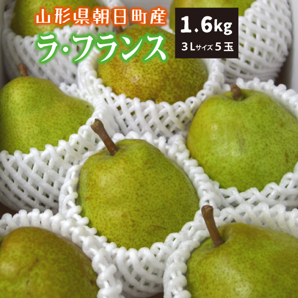 【2023年先行予約】【山形県朝日町産】ラ・フランス　秀品　贈答用　1.6ｋｇ　3Ｌサイズ　5玉　産地直送　送料無料！（沖縄・離島・一部地域を除く)10月下旬～順次発送