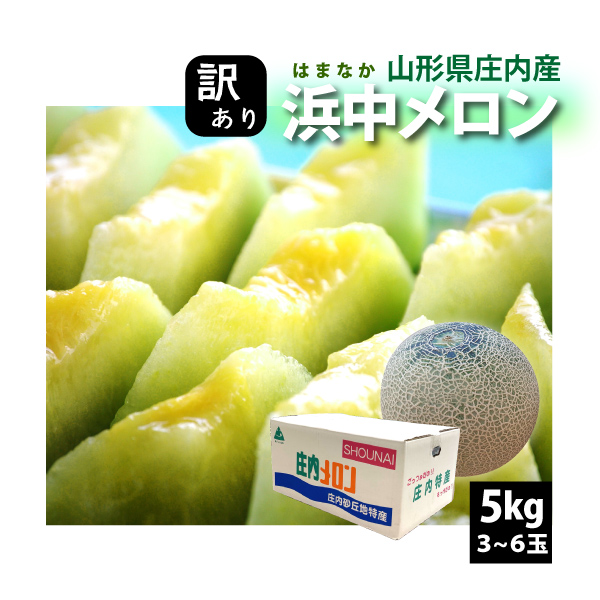 【2024年先行予約】【山形県 庄内産 】 浜中メロン 訳あり 5kg 3～6玉セット 送料無料(沖縄・離島・一部地域を除く) 家庭用 のし対応不可 ご注文順に7月上旬～順次発送