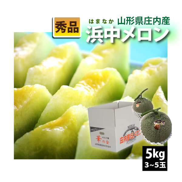 【2025年先行予約】【山形県 庄内産 】 浜中メロン 秀品 5kg 3～5玉セット 送料無料(沖縄・離島・一部地域を除く) のし対応不可 ご注文順に7月上旬～順次発送