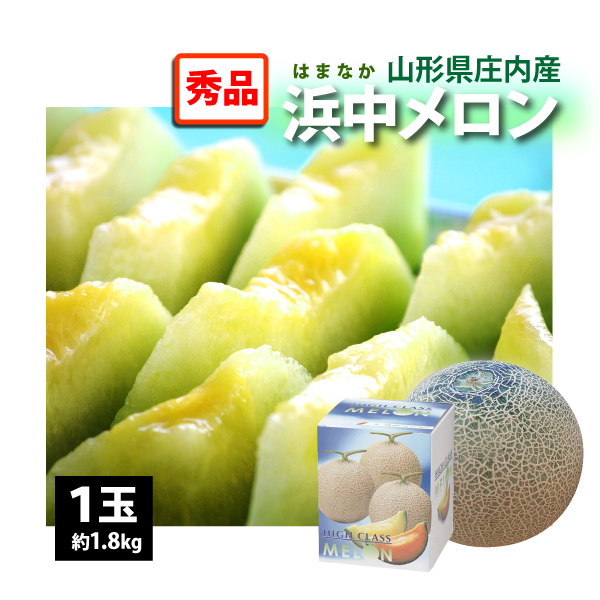 【2025年先行予約】【山形県 庄内産 】 浜中メロン 秀品 1玉(1.8kg) 送料無料(沖縄・離島・一部地域を除く) のし対応不可 8月9日～8月13日出荷