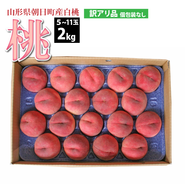 【2025年先行予約】【山形県 朝日町産 】 白桃 訳あり品 2kg 5～11玉　送料無料(沖縄・離島・一部地域を除く)8月上旬から御注文順に順次発送