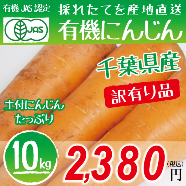 【千葉県産】有機にんじん 訳有り 10kg 有機JAS認定 安心・安全