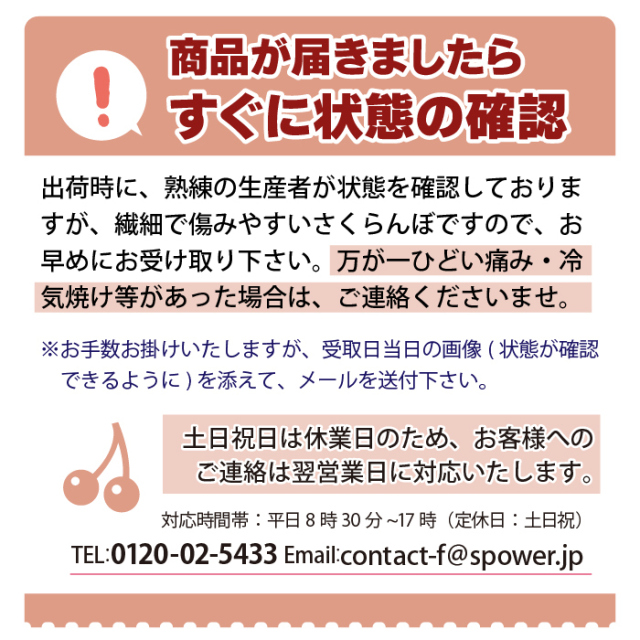 2025年先行予約】【山形県東根市産 訳あり】さくらんぼ 佐藤錦 Mクラス