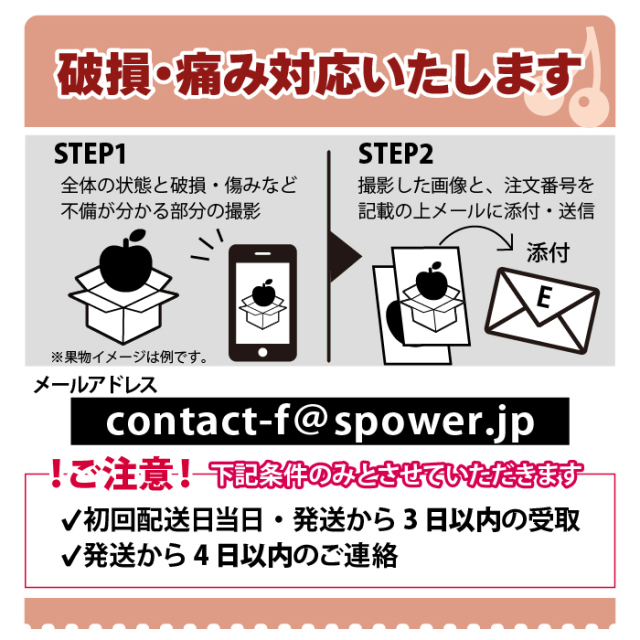 2025年先行予約】【山形県東根産 秀品】さくらんぼ 佐藤錦 2L