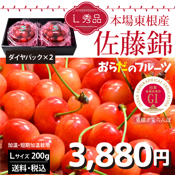 【2024年先行予約】【山形県東根産 秀品】東根さくらんぼ 佐藤錦 加温栽培・短期加温栽培 Lサイズ ダイヤパック 200g 送料無料 産地直送 クール便 ご注文順に4月上旬～5月下旬順次発送 地理的表示認定第30号