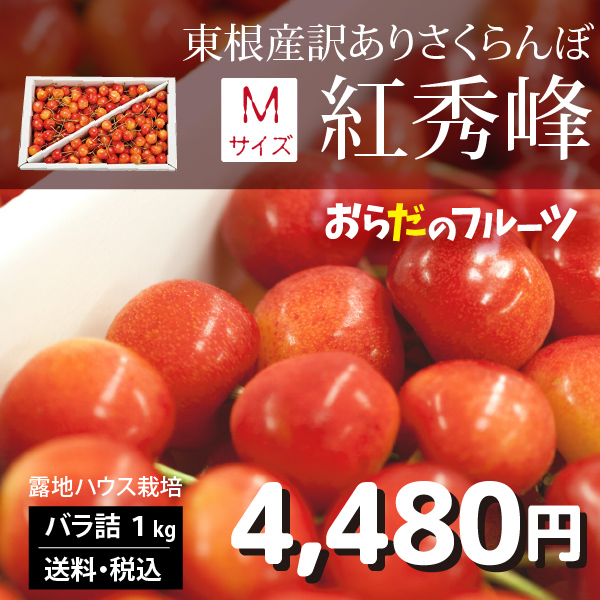 【2024年先行予約】【山形県東根市産 訳あり】さくらんぼ 紅秀峰 Mサイズ バラ詰め 1kg 送料無料 産地直送 クール便 ご注文順に6月下旬～7月上旬順次発送