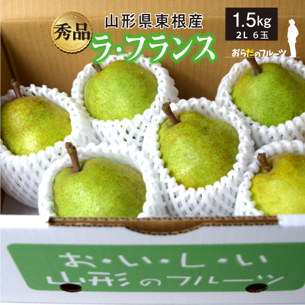 【2023年先行予約】【山形県東根産】ラ・フランス　秀品　1.5ｋｇ　2Lサイズ　6玉　産地直送　送料無料！（沖縄・離島・一部地域を除く)10月下旬～順次発送