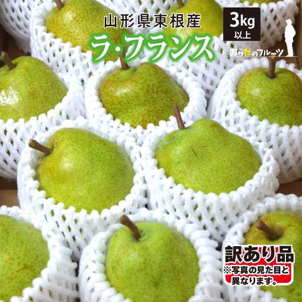 【2023年先行予約】【山形県東根産】ラ・フランス　訳あり　3ｋｇ　Mサイズ以上（玉数おまかせ)　産地直送　送料無料！（沖縄・離島・一部地域を除く)10月下旬～順次発送