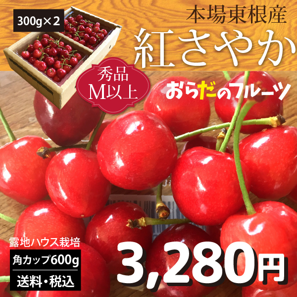 【2024年先行予約】【山形県東根産 秀品】さくらんぼ 紅さやか Mクラス以上 600g 送料無料 産地直送 クール便 ご注文順に6月上旬～6月下旬順次発送