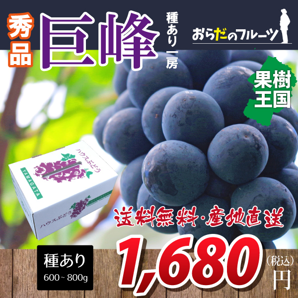 産地直送！【2020年先行予約】【山形県東根産】 巨峰 秀品 1房(600g～800g)　送料無料(沖縄・離島を除く) のし対応不可　9月下旬～御注文順に順次発送