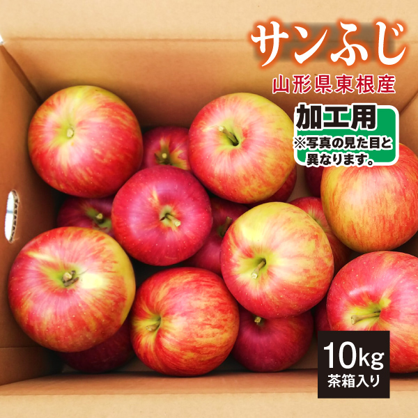 【加工用】サンふじ 山形県東根産 10kg(茶箱) 12月上旬～順次発送 送料無料(沖縄・離島・一部地域は別途送料)　時間指定可！