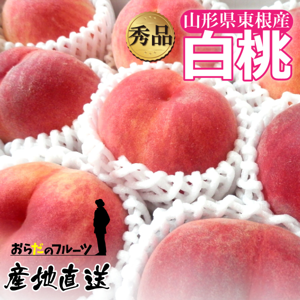 【2024年先行予約】山形県東根産 品種おまかせ 秀品 白桃 8～10玉 2kg クール便 送料無料(一部地域を除く) 8月上旬～9月中旬 順次発送