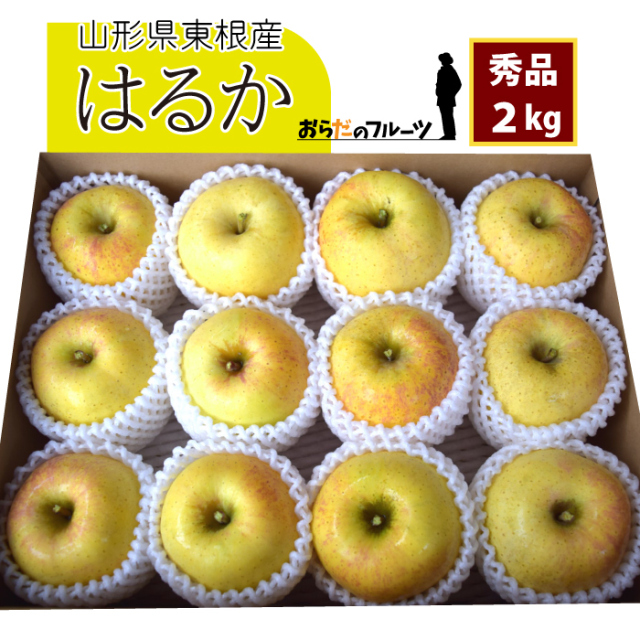 【秀品】 12月中旬～ りんご はるか 2kg 山形県東根産 産地直送  送料無料！（沖縄・離島・一部地域を除く)12月中旬～12月下旬 順次発送