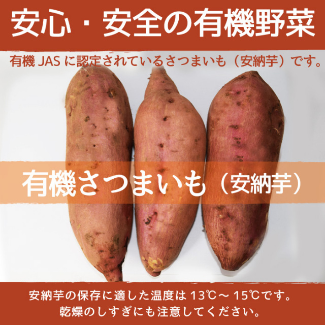 sa-04.jpg?t=20161228174724