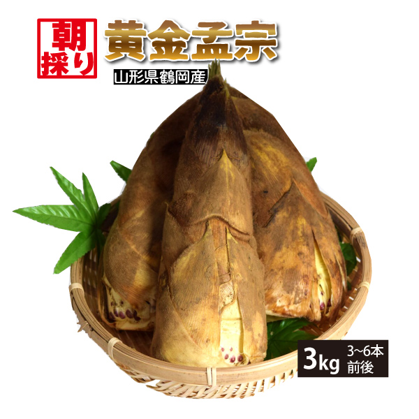 【2025年先行予約】4月下旬から順次発送 黄金孟宗 朝採りたけのこ 3kg (3～6本) 山形県鶴岡産 生たけのこ 無農薬・無化学肥料 産地直送 冷蔵便 送料無料(沖縄・離島・一部地域を除く)