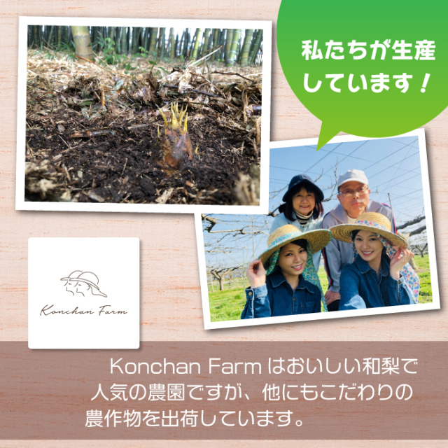 福井県坂井市産】朝採り新鮮たけのこ 2．5kg(3～5本) Konchan Farm