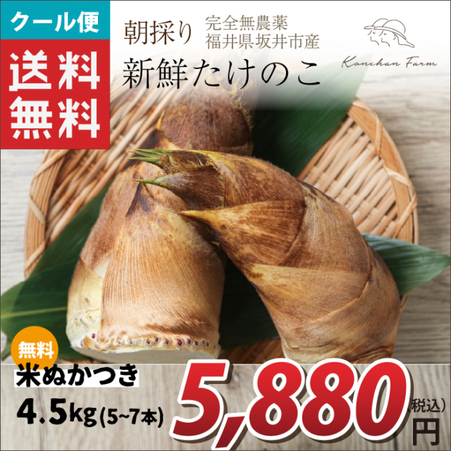 【2025年先行予約】【福井県坂井市産】朝採り新鮮たけのこ ４．５ｋｇ(5～7本) Konchan Farm あく抜きに使える米ぬかつき 完全無農薬 クール(冷蔵便) 送料無料！（北海道・沖縄・離島・一部地域を除く) 代引き不可 ご注文順に4月下旬から順次発送