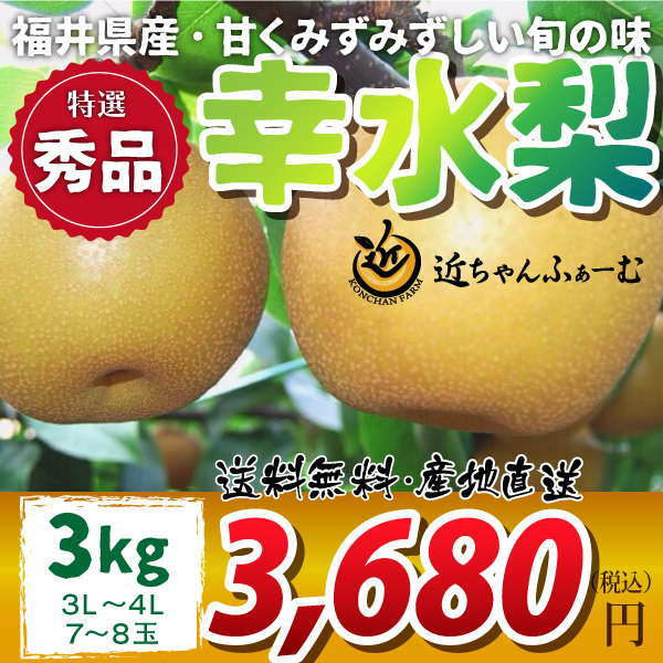 【2020年先行予約】【福井県産】和梨　幸水　特選秀品　3kg(3L～4L)　7～8玉　送料無料　産地直送　ギフト　贈答用　8月下旬から御注文順に順次発送