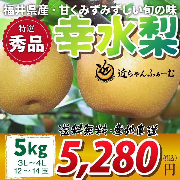 【2020年先行予約】【福井県産】和梨　幸水　特選秀品　5kg(3L～4L)　12～14玉　送料無料　産地直送　ギフト　贈答用　8月下旬から御注文順に順次発送