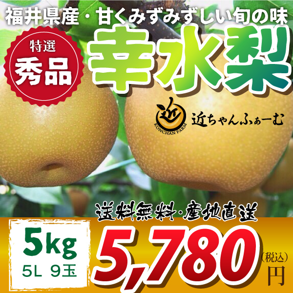 【福井県産】和梨　幸水　特選秀品　5kg(5L)　9玉　送料無料　産地直送　ギフト　贈答用　無料熨斗（のし）対応