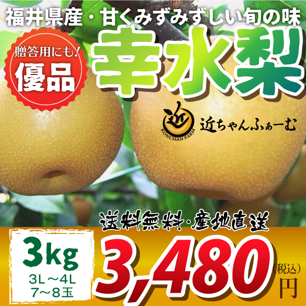 【2020年先行予約】【福井県産】和梨　幸水　優品　3kg(3L～4L)　7～8玉　送料無料　産地直送　贈答用にも！　8月下旬から御注文順に順次発送