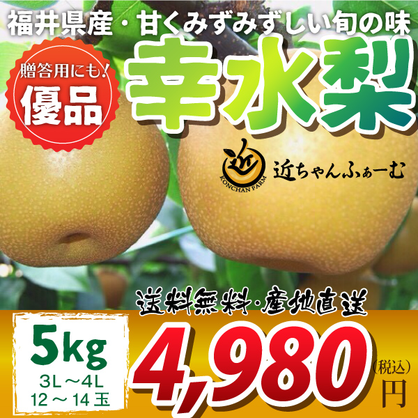 【2020年先行予約】【福井県産】和梨　幸水　優品　5kg(3L～4L)　12～14玉　送料無料　産地直送　贈答用にも！　8月下旬から御注文順に順次発送