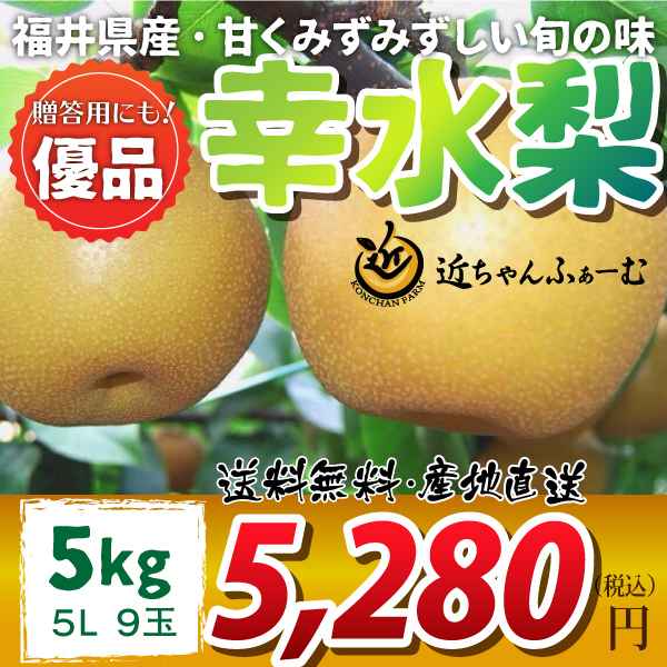 【福井県産】和梨　幸水　優品　5kg(5L)　9玉　送料無料　産地直送　贈答用にも！　無料熨斗（のし）対応