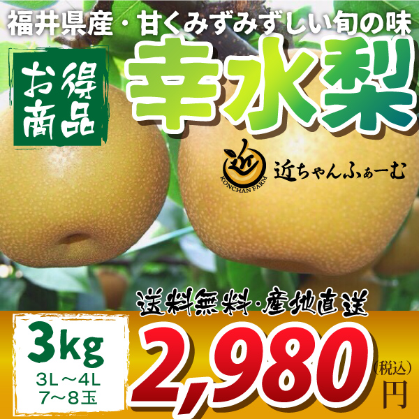 【2020年先行予約】【福井県産】和梨　幸水　お買い得品　3kg(3L～4L)　7～8玉　送料無料　産地直送　8月下旬から御注文順に順次発送