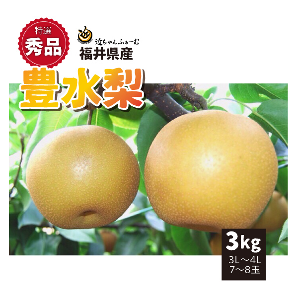 【2022年先行予約】【福井県産】　和梨　豊水　特選秀品　3kg(3L～4L)　7～8玉　送料無料　産地直送　ギフト　贈答用　9月上旬から御注文順に順次発送