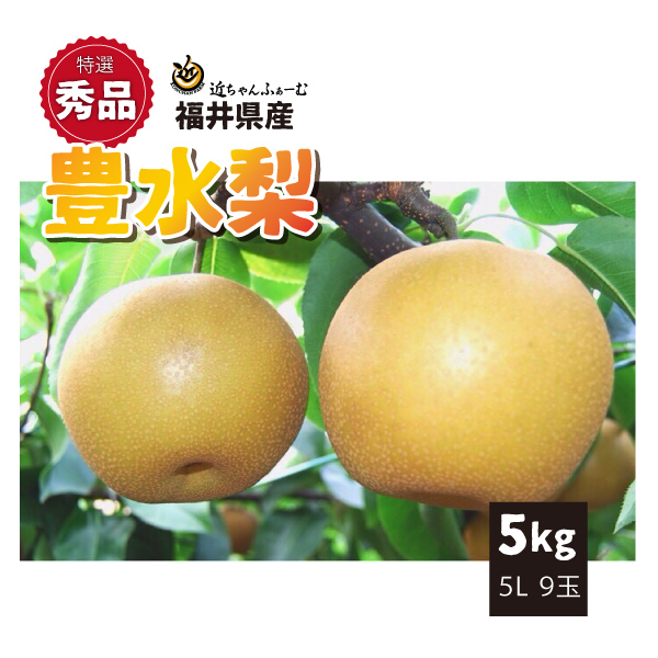 【2022年先行予約】【福井県産】　和梨　豊水　特選秀品　5kg(5L)　9玉　送料無料　産地直送　ギフト　贈答用　9月上旬から御注文順に順次発送