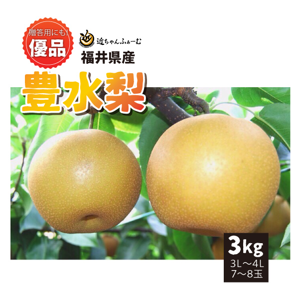 【2022年先行予約】【福井県産】　和梨　豊水　優品　3kg(3L～4L)　7～8玉　送料無料　産地直送　贈答用にも！　9月上旬から御注文順に順次発送