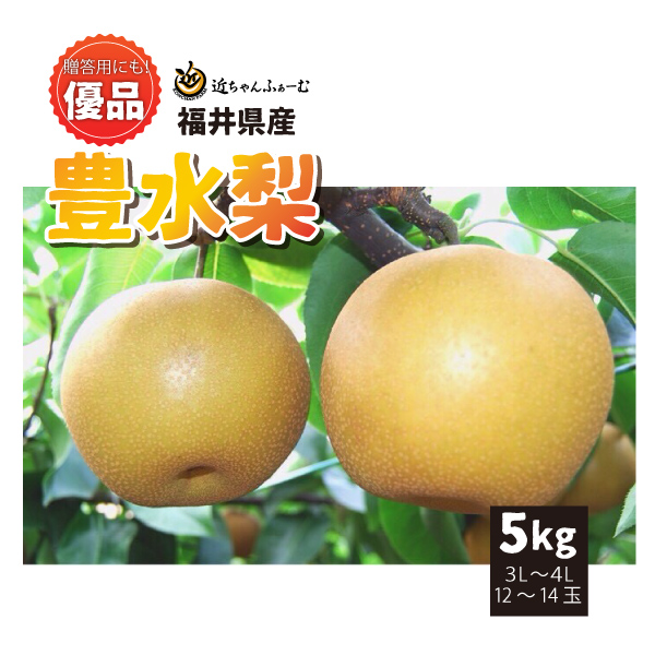 【2022年先行予約】【福井県産】　和梨　豊水　優品　5kg(3L～4L)　12～14玉　送料無料　産地直送　贈答用にも！　9月上旬から御注文順に順次発送