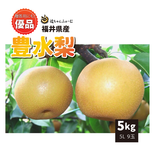 【2022年先行予約】【福井県産】　和梨　豊水　優品　5kg(5L)　9玉　送料無料　産地直送　贈答用にも！9月上旬から御注文順に順次発送