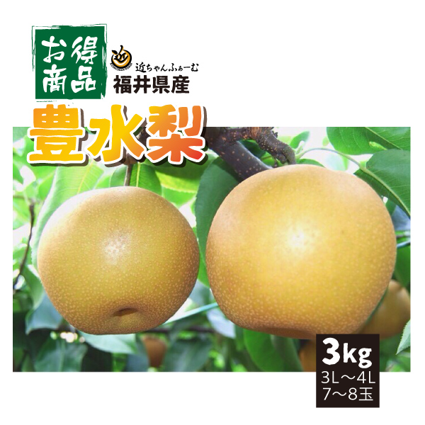 【2022年先行予約】【福井県産】　和梨　豊水　お買い得品　3kg(3L～4L)　7～8玉　送料無料　産地直送　9月上旬から御注文順に順次発送