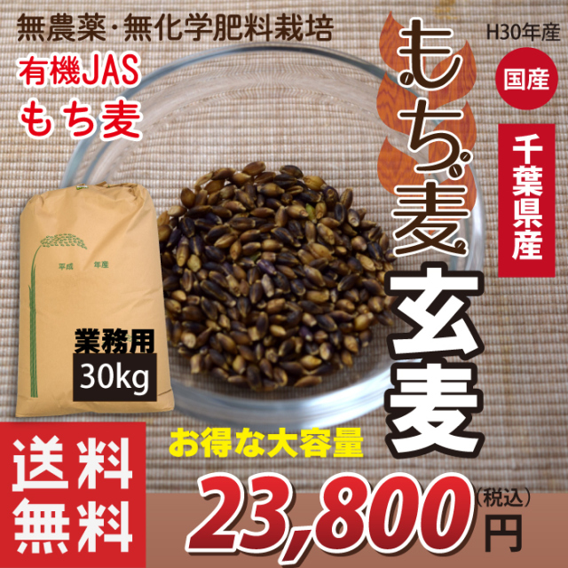 国産 有機JASもち麦 玄麦もち麦 玄もち麦 千葉県産100％ 30kg 業務用 お得な大容量(小分け不可) 送料無料(沖縄・離島を除く)