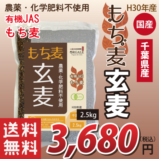 国産 有機JASもち麦 玄麦もち麦 玄もち麦 千葉県産100％ 2.5kg 業務用 お得な大容量(小分け不可) 送料無料(沖縄・離島を除く)