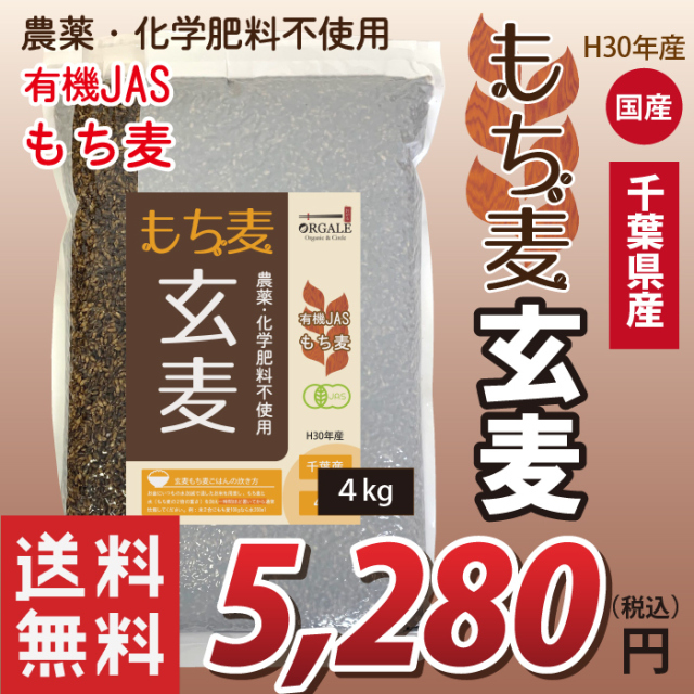 国産 有機JASもち麦 玄麦もち麦 玄もち麦 千葉県産100％ 4kg 業務用 お得な大容量(小分け不可) 送料無料(沖縄・離島を除く)