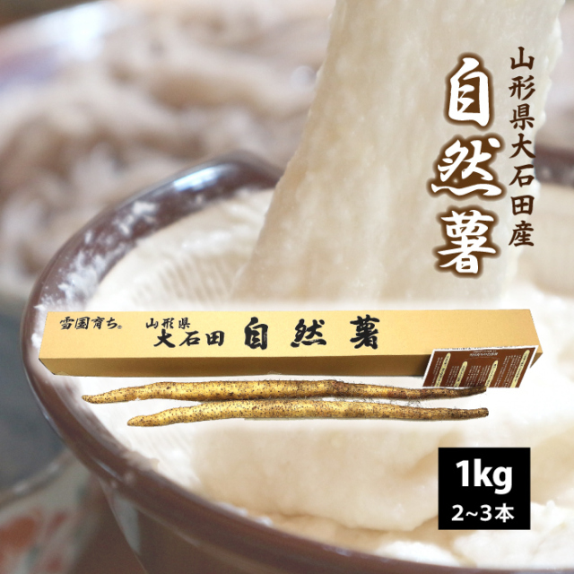 【山形県 大石田産】自然薯（やまのいも）1kｇ 送料無料！（沖縄・離島・一部地域を除く)甘みとコク 雪国育ち 入手困難 貴重品！