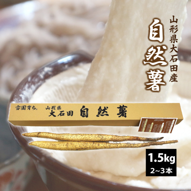 【山形県 大石田産】自然薯（やまのいも）1.5kｇ 送料無料！（沖縄・離島・一部地域を除く)甘みとコク 雪国育ち 入手困難 貴重品！