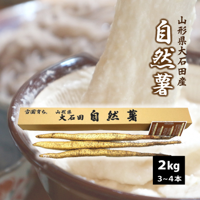 【山形県 大石田産】自然薯（やまのいも）2kｇ 送料無料！（沖縄・離島・一部地域を除く)甘みとコク 雪国育ち 入手困難 貴重品！