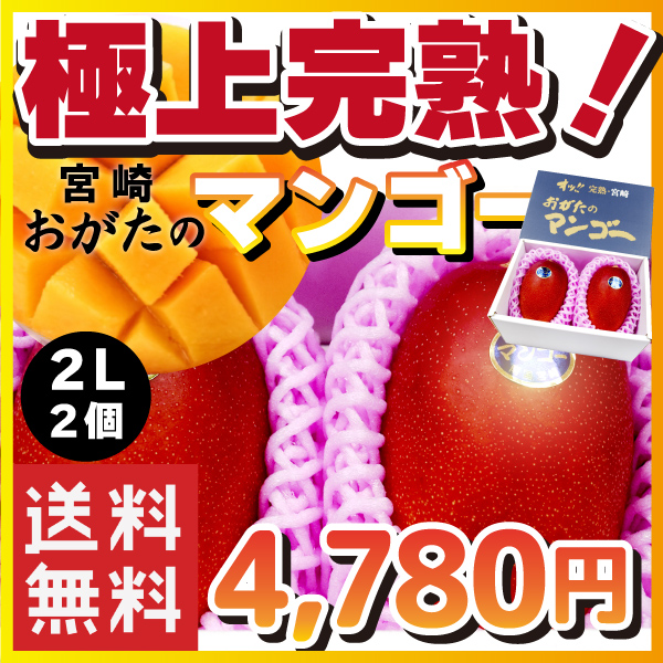 【宮崎県産】オッ!! 完熟・宮崎 おがたのマンゴー 送料無料! 贈答用 2Lサイズ2個入り