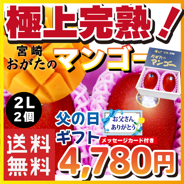 【宮崎県産】オッ!! 完熟・宮崎 おがたのマンゴー 送料無料! 贈答用 2Lサイズ2個入り 父の日ギフトメッセージカード付き