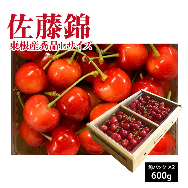 【2025年先行予約】【山形県東根産 秀品】さくらんぼ 佐藤錦 Lサイズ バラ詰め 600ｇ 送料無料 産地直送 クール便 ご注文順に6月中旬～6月下旬順次発送 地理的表示認定第30号